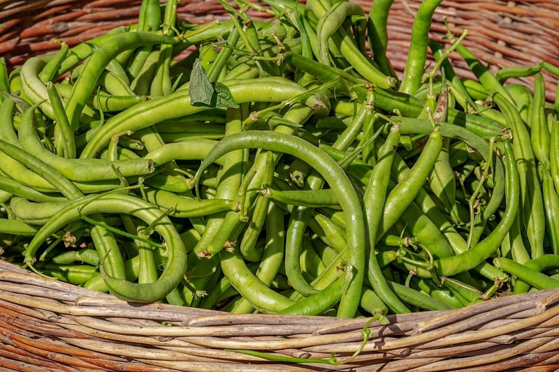 Assorted beans and lentils