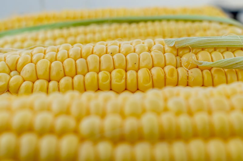 Whole grain rice and corn